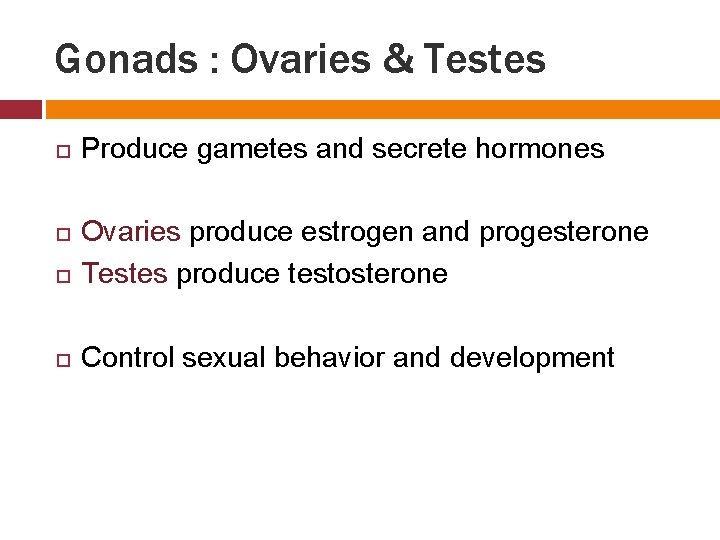 Gonads : Ovaries & Testes Produce gametes and secrete hormones Ovaries produce estrogen and