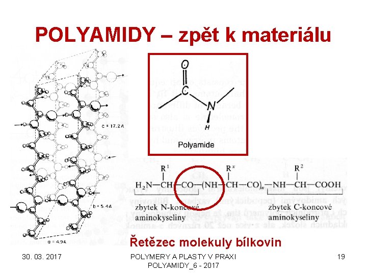 POLYAMIDY – zpět k materiálu Řetězec molekuly bílkovin 30. 03. 2017 POLYMERY A PLASTY