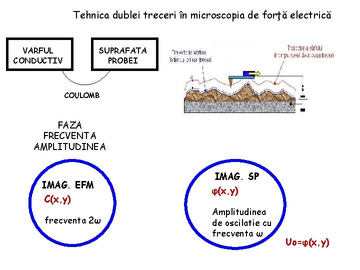 Tehnica dublei treceri în microscopia de forţă electrică VARFUL CONDUCTIV SUPRAFATA PROBEI COULOMB FAZA