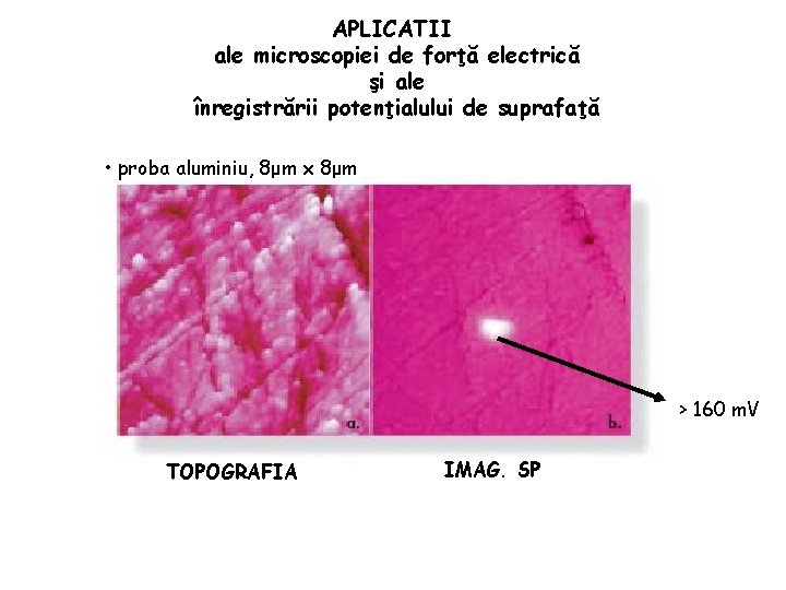 APLICATII ale microscopiei de forţă electrică şi ale înregistrării potenţialului de suprafaţă • proba