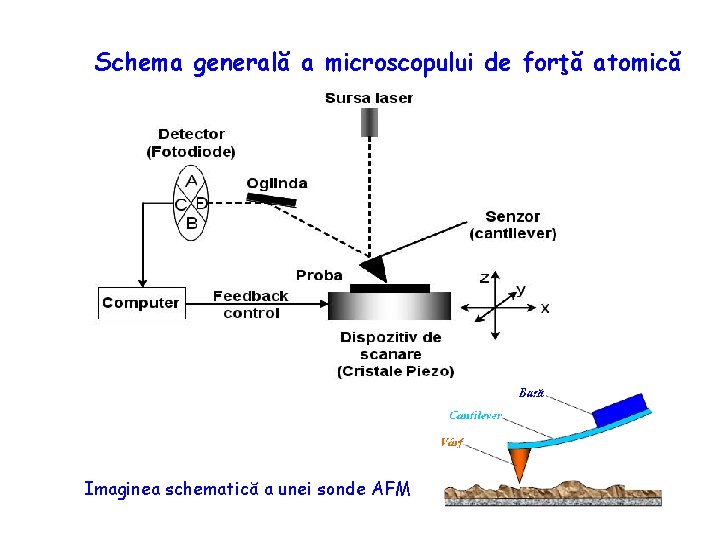 Schema generală a microscopului de forţă atomică Imaginea schematică a unei sonde AFM 