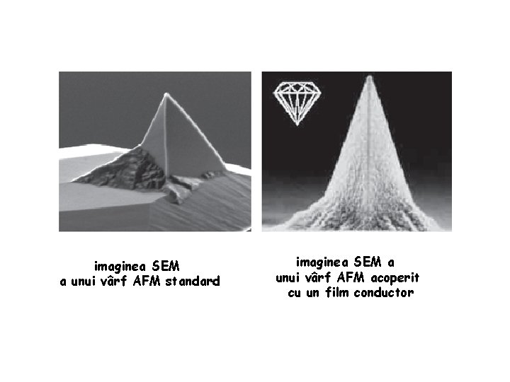 imaginea SEM a unui vârf AFM standard imaginea SEM a unui vârf AFM acoperit