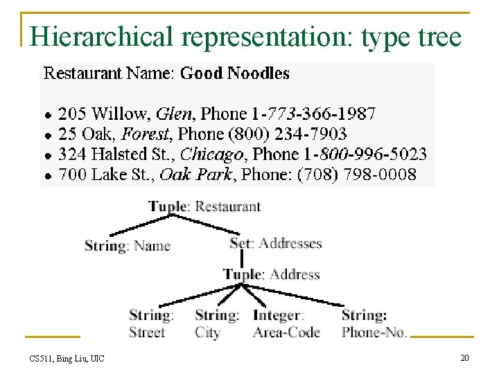 Hierarchical representation: type tree CS 511, Bing Liu, UIC 20 