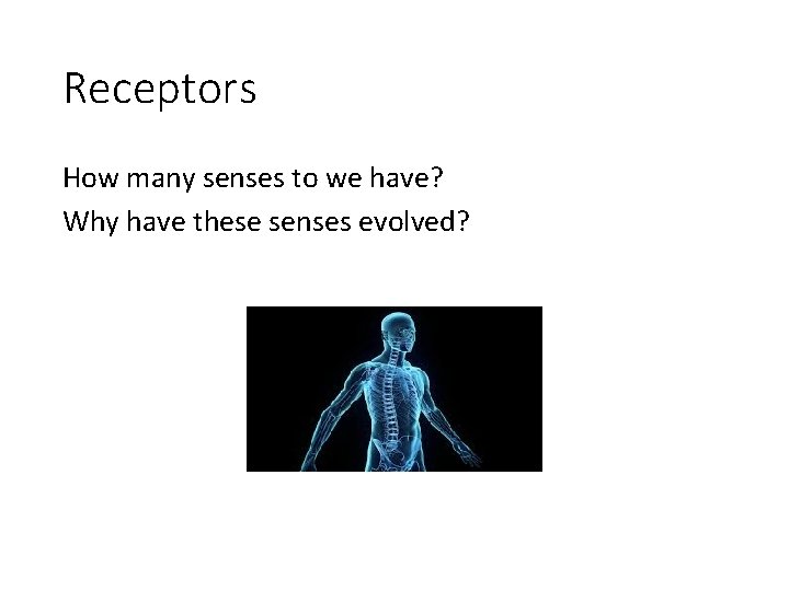 Receptors How many senses to we have? Why have these senses evolved? 