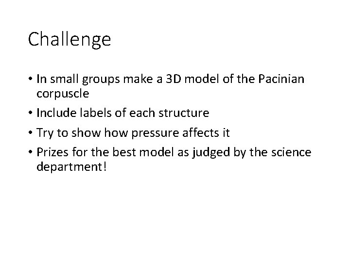 Challenge • In small groups make a 3 D model of the Pacinian corpuscle