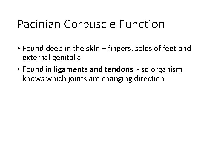 Pacinian Corpuscle Function • Found deep in the skin – fingers, soles of feet