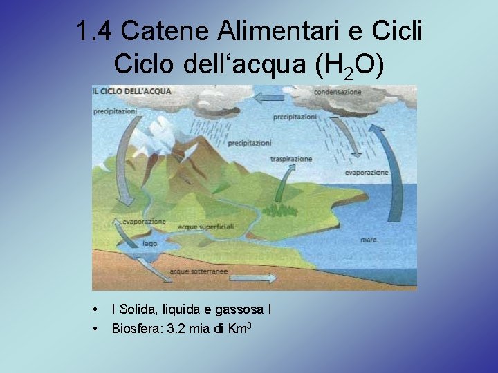 1. 4 Catene Alimentari e Cicli Ciclo dell‘acqua (H 2 O) • • !