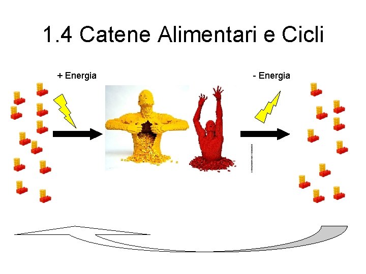 1. 4 Catene Alimentari e Cicli + Energia - Energia 