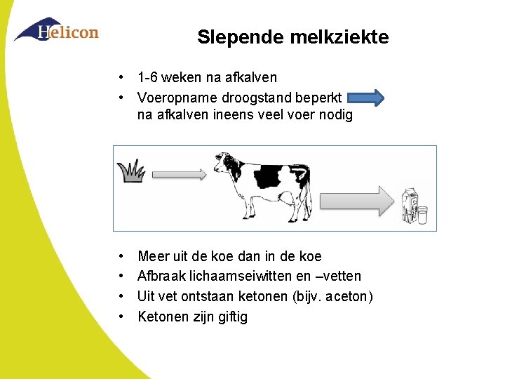 Slepende melkziekte • 1 -6 weken na afkalven • Voeropname droogstand beperkt na afkalven Slepende melkziekte • 1 -6 weken na afkalven • Voeropname droogstand beperkt na afkalven