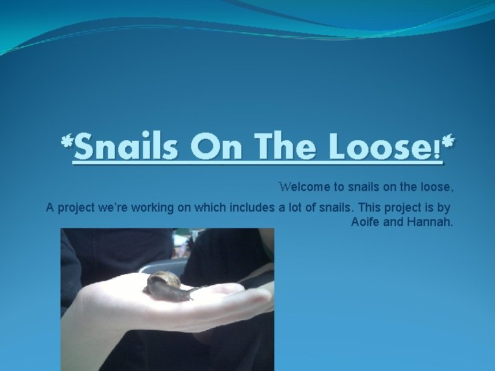 *Snails On The Loose!* Welcome to snails on the loose, A project we’re working