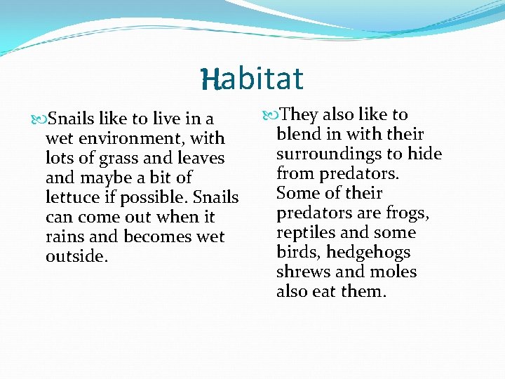 Habitat Snails like to live in a wet environment, with lots of grass and