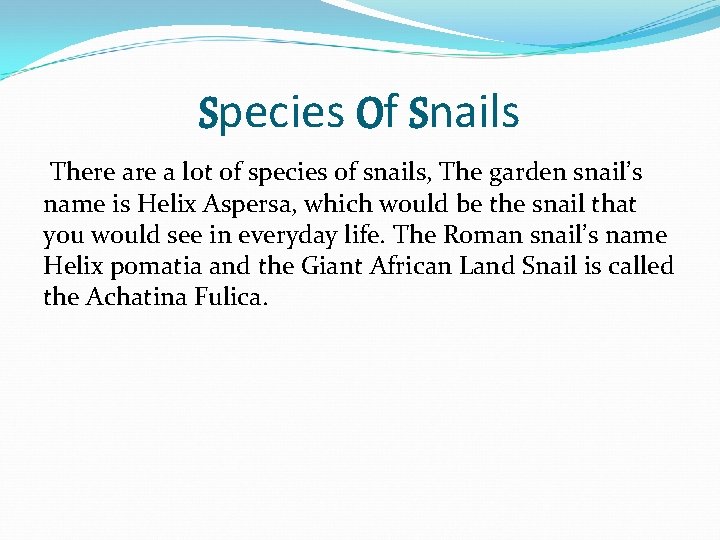 Species Of Snails There a lot of species of snails, The garden snail’s name