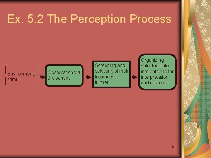 Ex. 5. 2 The Perception Process Environmental stimuli Observation via the senses Screening and