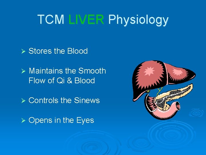 TCM LIVER Physiology Ø Stores the Blood Ø Maintains the Smooth Flow of Qi