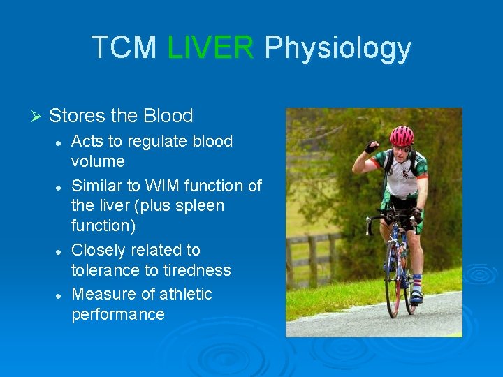 TCM LIVER Physiology Ø Stores the Blood l l Acts to regulate blood volume