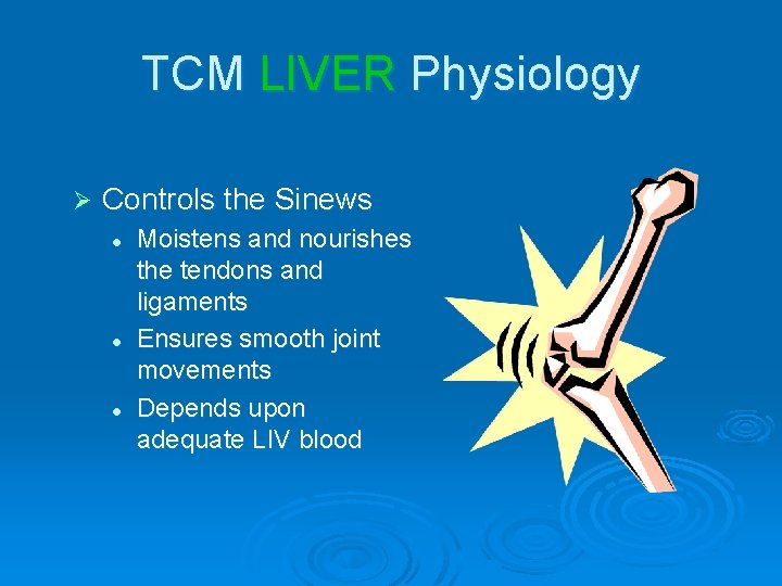 TCM LIVER Physiology Ø Controls the Sinews l l l Moistens and nourishes the