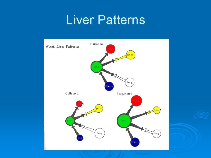 Liver Patterns 
