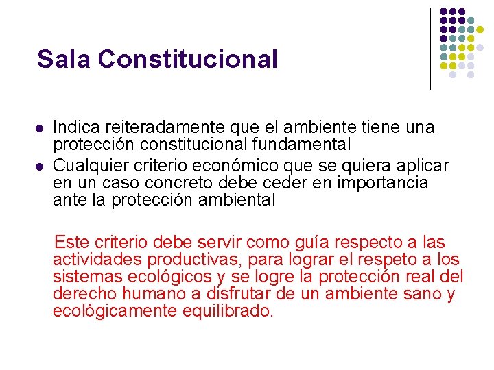 Sala Constitucional Indica reiteradamente que el ambiente tiene una protección constitucional fundamental Cualquier criterio