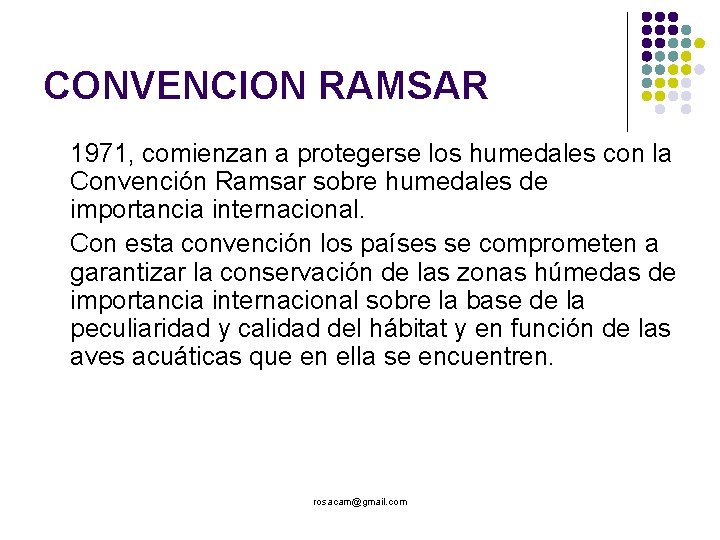 CONVENCION RAMSAR 1971, comienzan a protegerse los humedales con la Convención Ramsar sobre humedales