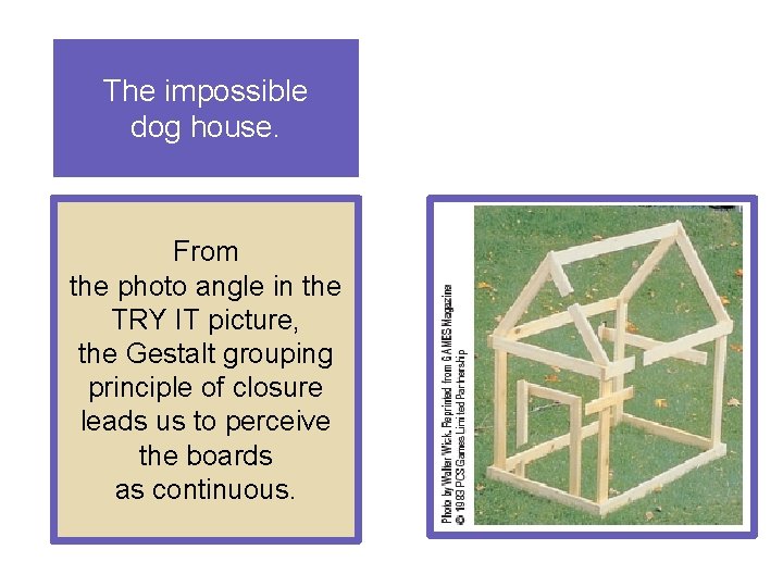 The impossible dog house. From the photo angle in the TRY IT picture, the