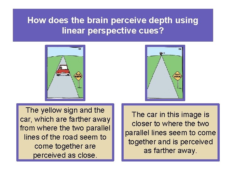 How does the brain perceive depth using linear perspective cues? The yellow sign and