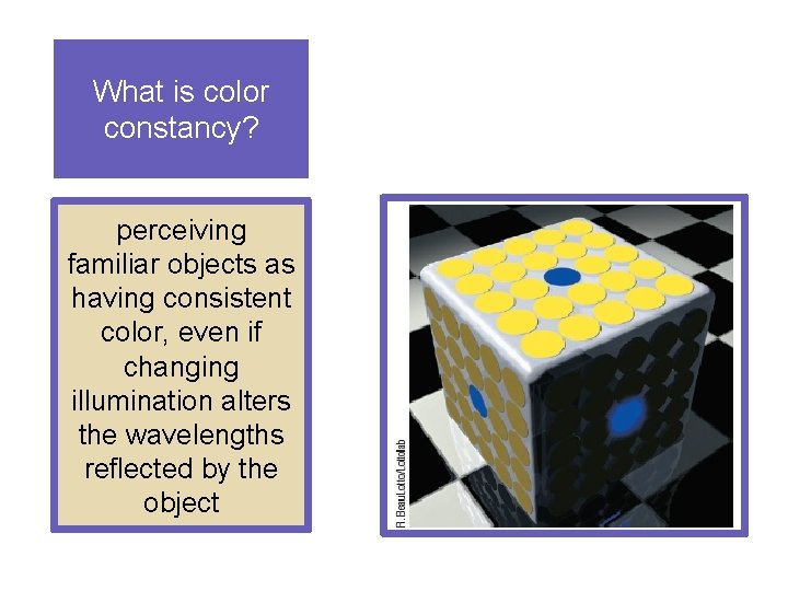 What is color constancy? perceiving familiar objects as having consistent color, even if changing