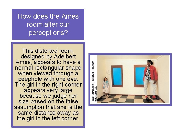 How does the Ames room alter our perceptions? This distorted room, designed by Adelbert