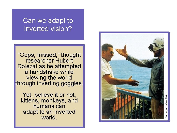 Can we adapt to inverted vision? “Oops, missed, ” thought researcher Hubert Dolezal as