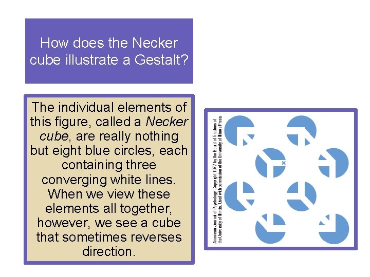 How does the Necker cube illustrate a Gestalt? The individual elements of this figure,