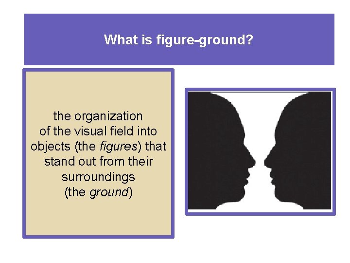 What is figure-ground? the organization of the visual field into objects (the figures) that