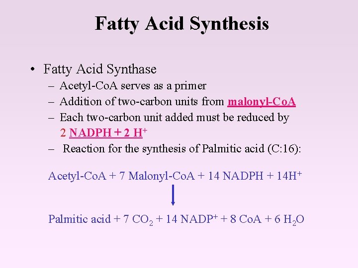 Fatty Acid Synthesis • Fatty Acid Synthase – Acetyl-Co. A serves as a primer