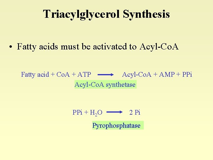 Triacylglycerol Synthesis • Fatty acids must be activated to Acyl-Co. A Fatty acid +