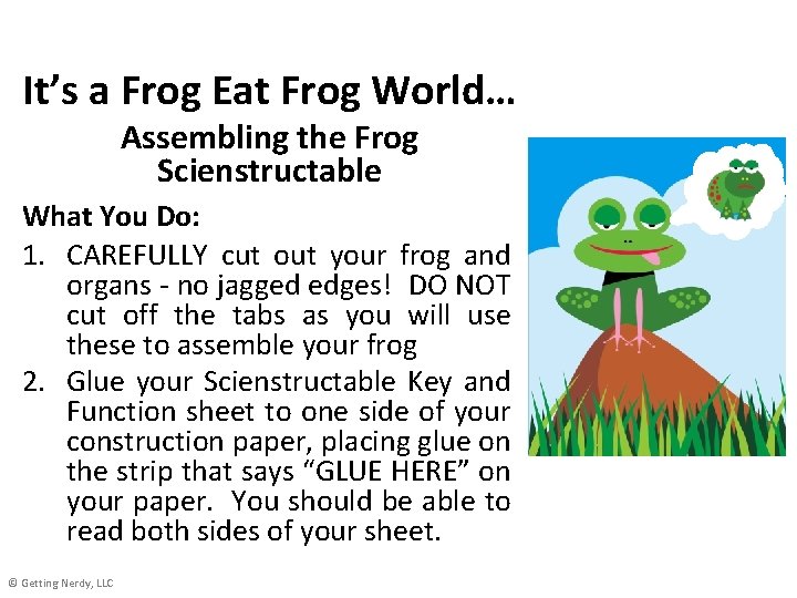 It’s a Frog Eat Frog World… Assembling the Frog Scienstructable What You Do: 1.