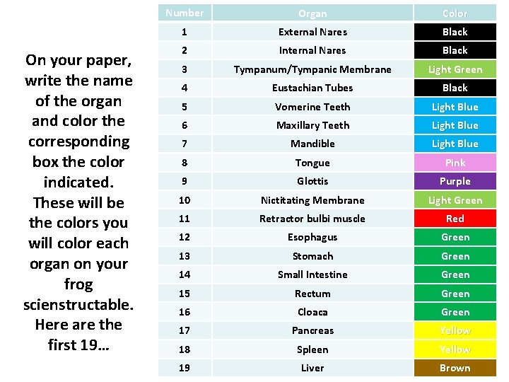 On your paper, write the name of the organ and color the corresponding box