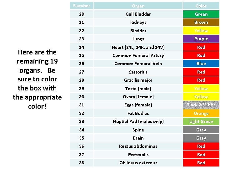 Here are the remaining 19 organs. Be sure to color the box with the