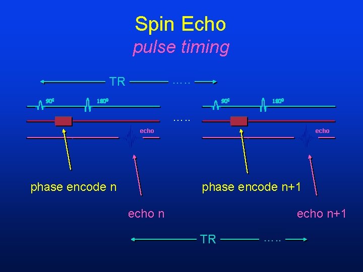 Spin Echo pulse timing …. . TR …. . echo phase encode n+1 echo