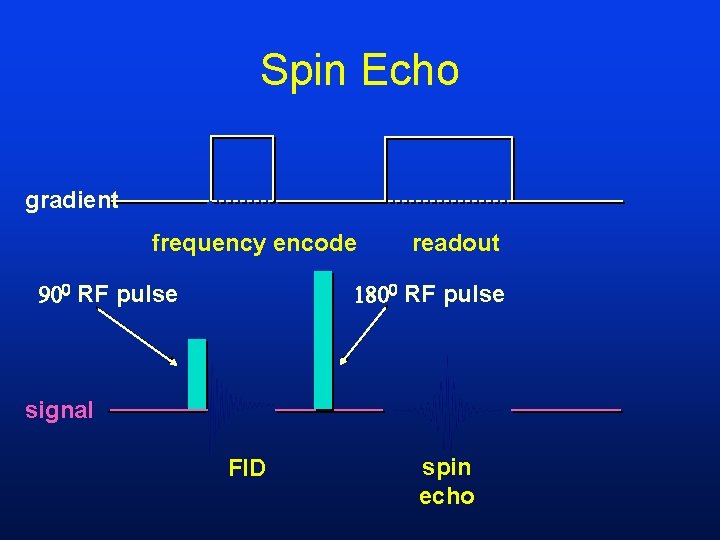 Spin Echo gradient frequency encode RF pulse readout RF pulse signal FID spin echo