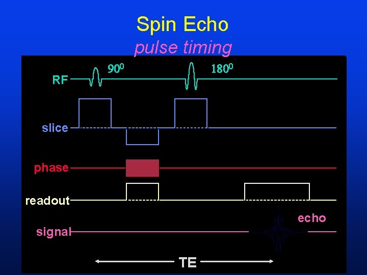 Spin Echo pulse timing RF slice phase readout echo signal TE 