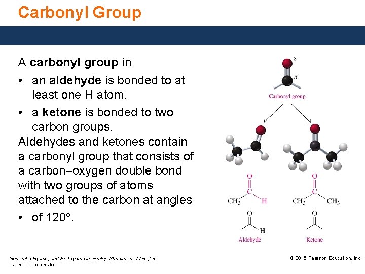 Carbonyl Group A carbonyl group in • an aldehyde is bonded to at least