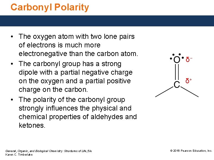 Carbonyl Polarity • The oxygen atom with two lone pairs of electrons is much