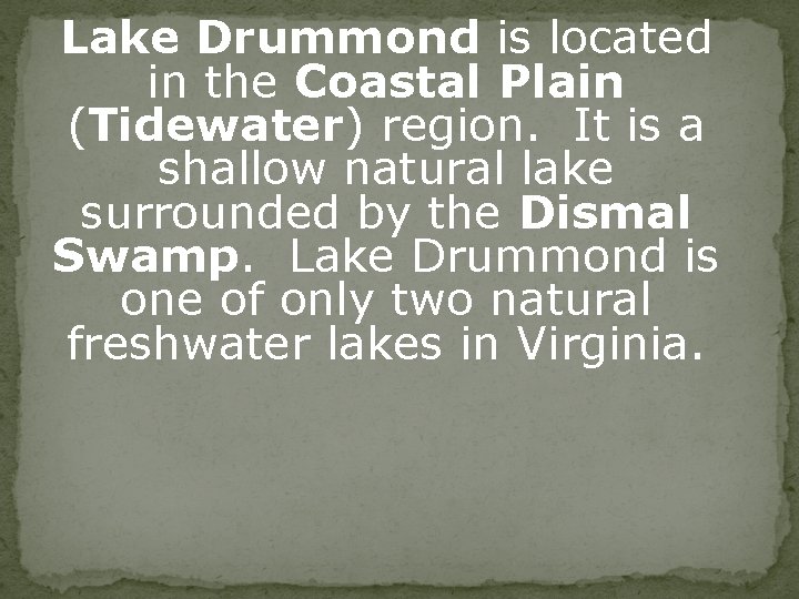 Lake Drummond is located in the Coastal Plain (Tidewater) region. It is a shallow