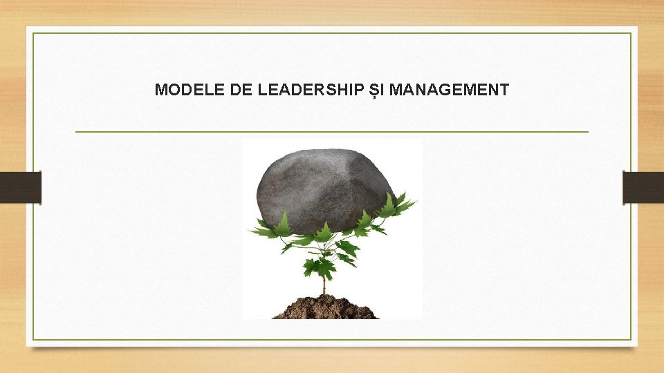 MODELE DE LEADERSHIP ȘI MANAGEMENT 