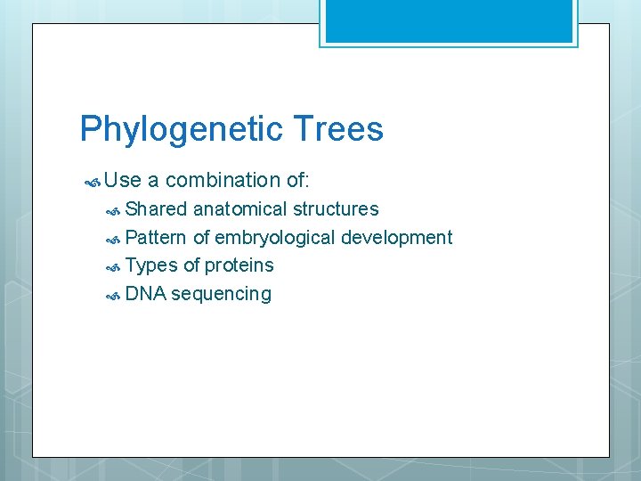 Phylogenetic Trees Use a combination of: Shared anatomical structures Pattern of embryological development Types
