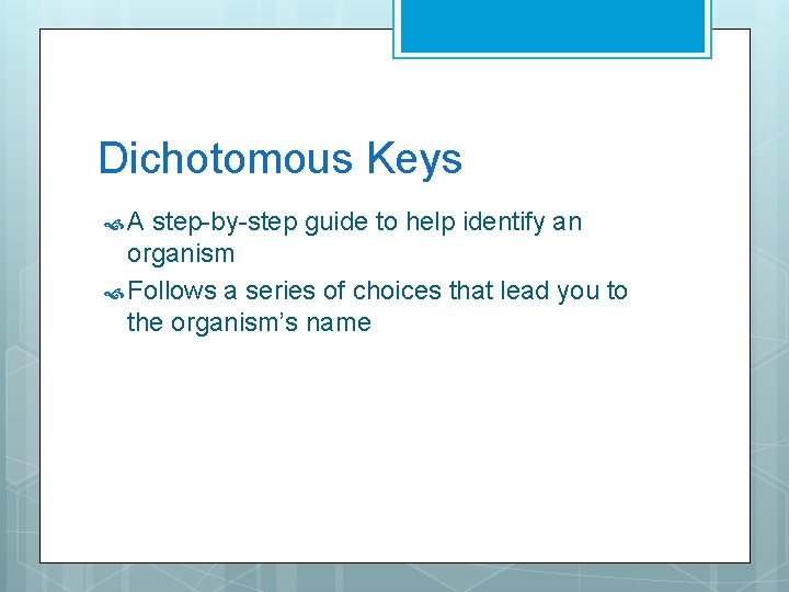 Dichotomous Keys A step-by-step guide to help identify an organism Follows a series of