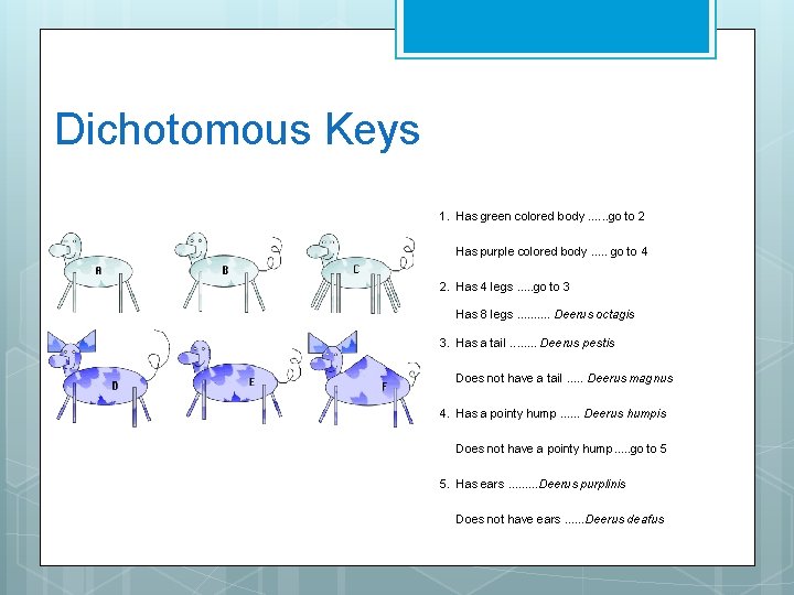 Dichotomous Keys 1. Has green colored body. . . go to 2 Has purple