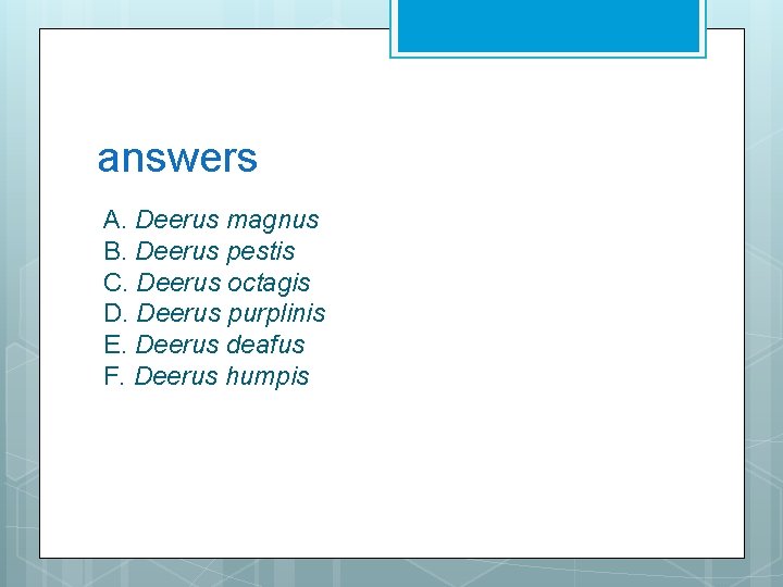 answers A. Deerus magnus B. Deerus pestis C. Deerus octagis D. Deerus purplinis E.