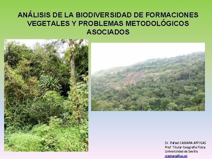 ANÁLISIS DE LA BIODIVERSIDAD DE FORMACIONES VEGETALES Y PROBLEMAS METODOLÓGICOS ASOCIADOS Dr. Rafael CAMARA