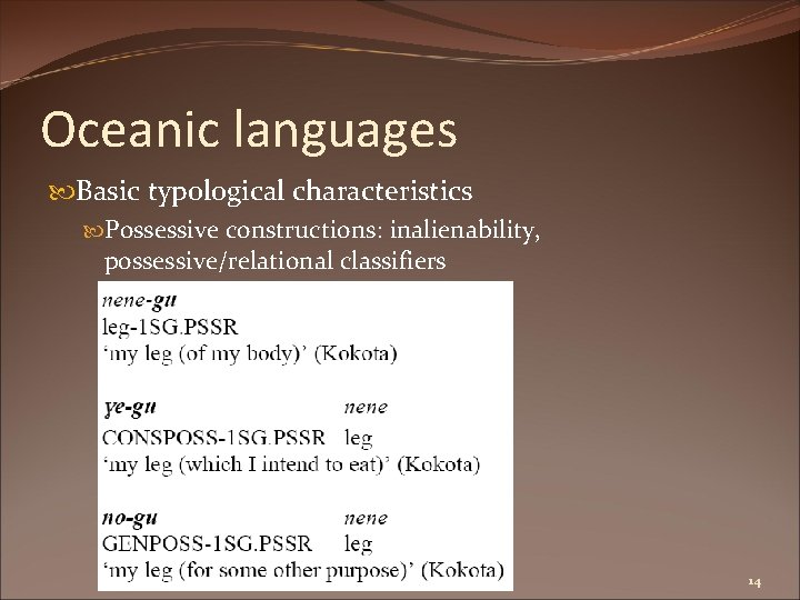 Oceanic languages Basic typological characteristics Possessive constructions: inalienability, possessive/relational classifiers 14 