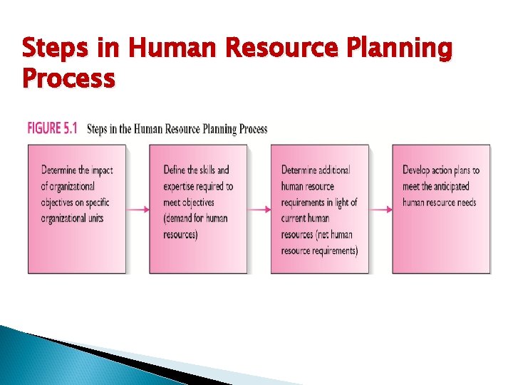Steps in Human Resource Planning Process 