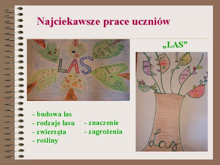 Najciekawsze prace uczniów „LAS” - budowa las - rodzaje lasu - zwierzęta - rośliny